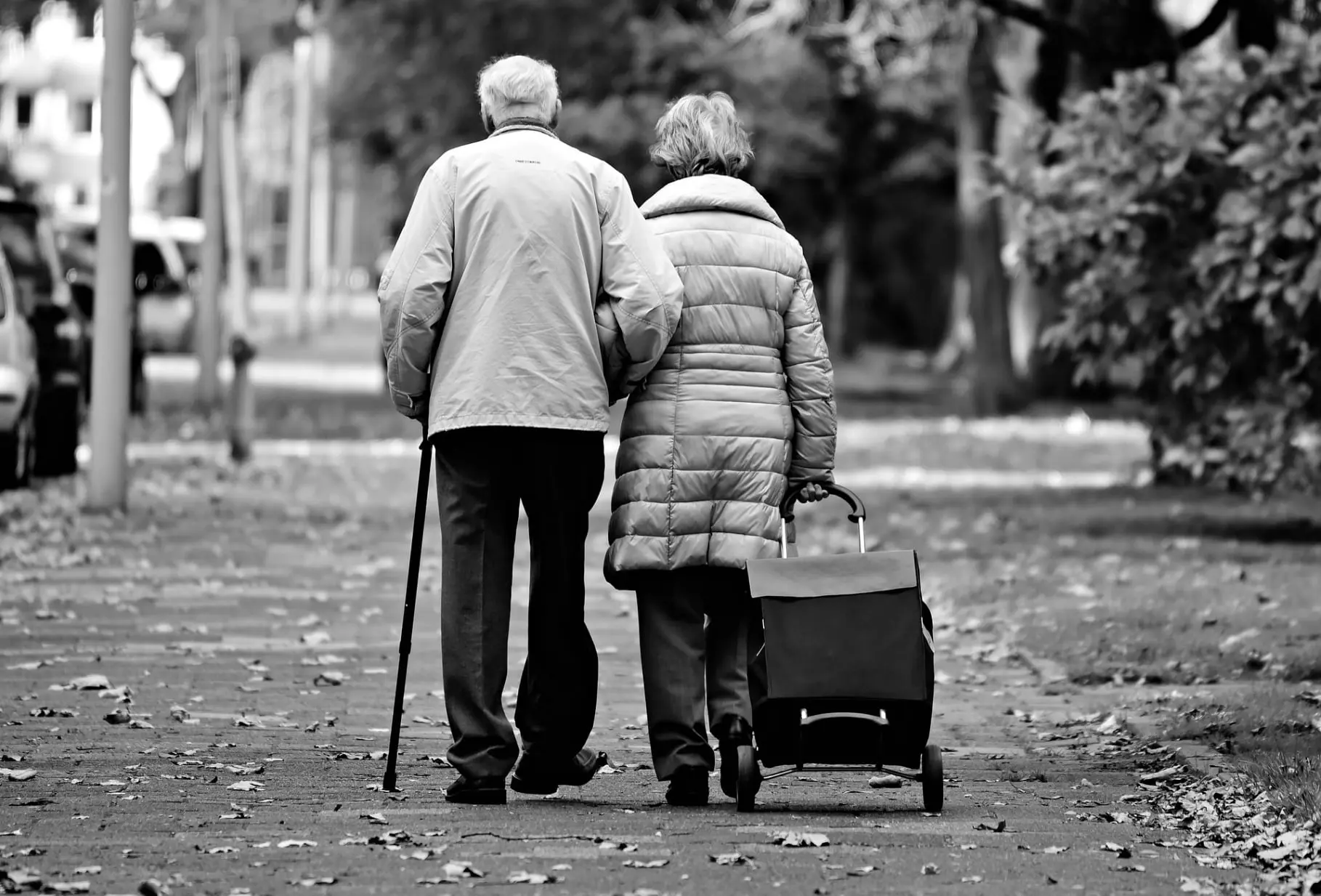 Elderly couple taking a walk in the park